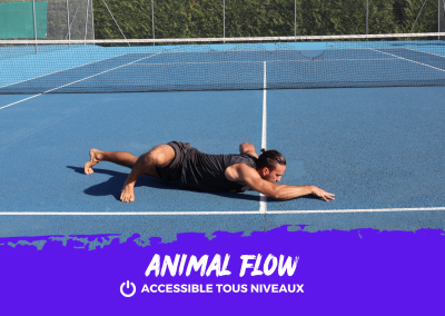 ANIMAL FLOW